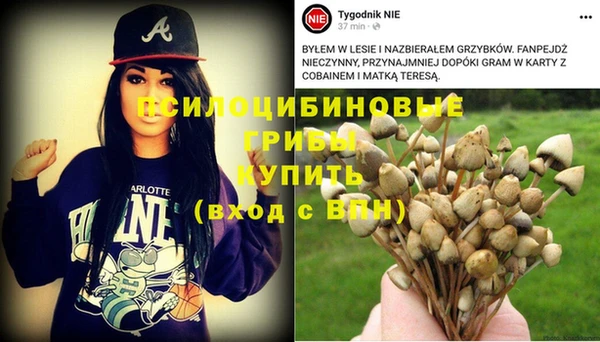 a pvp Фурманов