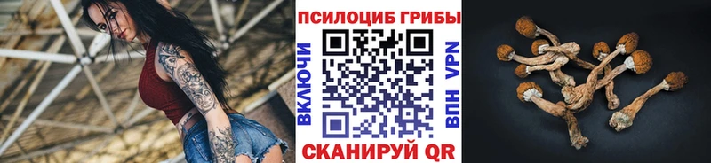 Псилоцибиновые грибы Psilocybe  Ильский 